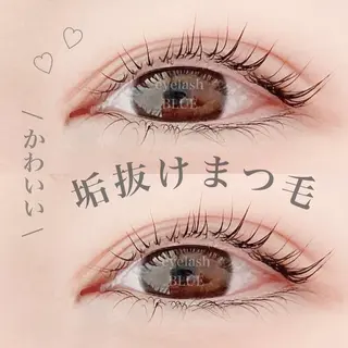 マツエク・マツパ eyelash BLUE御徒町のマツエク・マツパデザイン