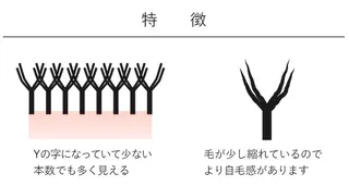 マツエク・マツパ 志賀 千鶴のヘアスタイル