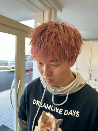 ショート カラー 平賀 大陽のヘアスタイル
