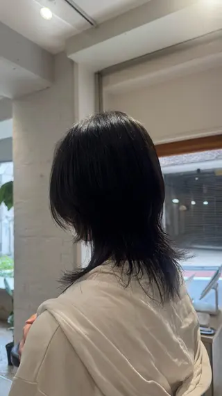 ミディアム カラー 🌓ウルフ/ショート /ハイトーン/大夢のヘアスタイル