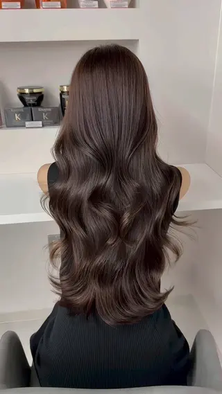 カラー モリシタ チョウのヘアスタイル