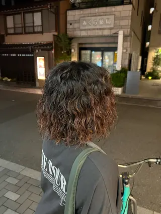 ミディアム パーマ 中居 蒼士のヘアスタイル