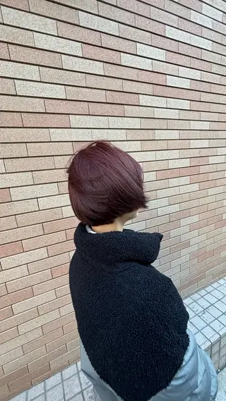 ショート カラー ミニモ限定価格! ムウミのヘアスタイル