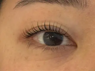 マツエク・マツパ Daisy Lash 土師のマツエク・マツパデザイン