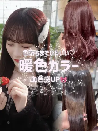 カラー HONOKA/ボブ/ 縮毛矯正/艶カラーのヘアスタイル