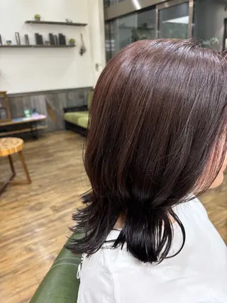 セミロング カラー 🐰K+Plus🐰 まゆ🐰のヘアスタイル