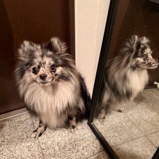 ネイル なつみ ☺︎のネイルデザイン