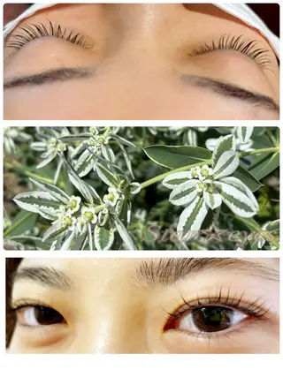 パーマ Star eyesのマツエク・マツパデザイン