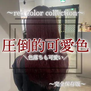 カラー 韓国風スタイル 北田陸斗のヘアスタイル