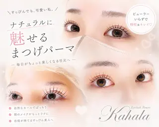 マツエク・マツパ Fujimoto 🦭⸝⋆꙳のマツエク・マツパデザイン