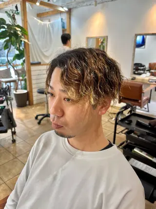 ショート パーマ カネコ ナナミのヘアスタイル