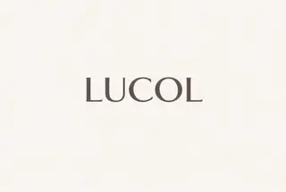 ネイル LUCOL もこのネイルデザイン