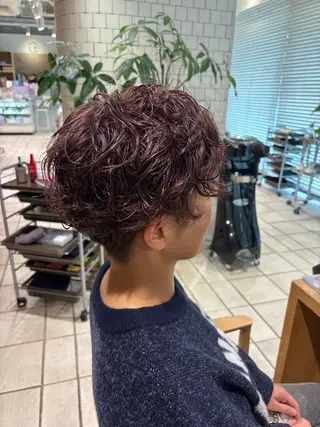ショート パーマ 萩原 琳之祐のヘアスタイル