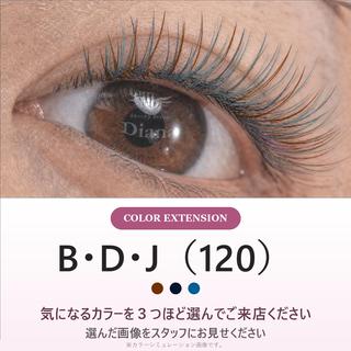 マツエク・マツパ ディアナ ひたちなか高場店仲田のマツエク・マツパデザイン