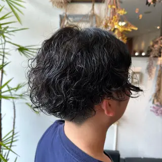 ショート パーマ メンズ 💜推しインナー カラー/菊池柊真💜のヘアスタイル