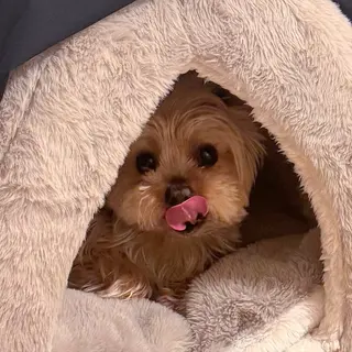 ネイル U eのネイルデザイン