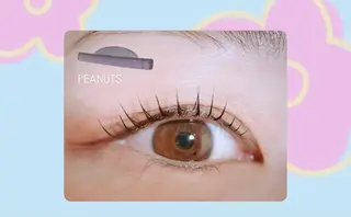 マツエク・マツパ mist AYA 🏝️eyelashの眉毛・アイブロウイメージ
