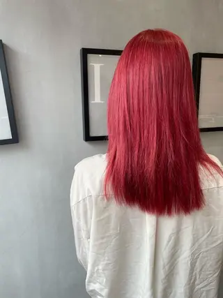 ミディアム 複雑履歴に対応ブリー チ無しダブルカラーのヘアスタイル