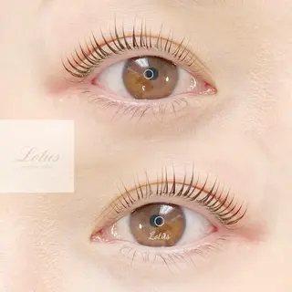 マツエク・マツパ Lotus ロータスのマツエク・マツパデザイン