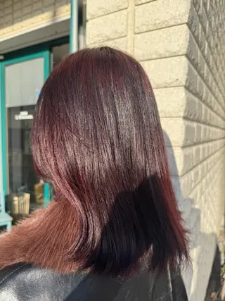 セミロング カラー 大塚 しおりのヘアスタイル