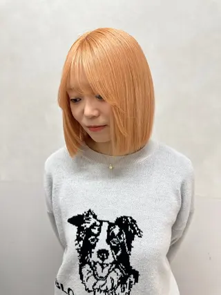 ショート カラー ハイトーン/複雑履歴 /ブリーチ/縮毛矯正のヘアスタイル