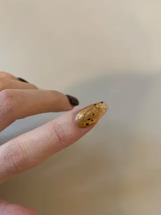 ネイル nail salon linoのネイルデザイン