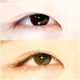 マツエク・マツパ LATTE eyelashのマツエク・マツパデザイン