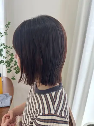 🕊️ 𝙍𝙀𝙉𝘼のヘアスタイル