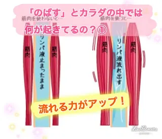 ショート カラー パーマ ヘアアレンジ メンズ キッズ ネイル マツエク・マツパ 痩身&ボディ 結果出し🌟丹野のエステ・リラクイメージ