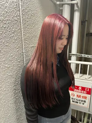 カラー 🎀ミク🎀/ハイト ーン/デザインカラーのヘアスタイル