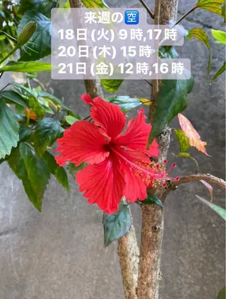 清水 由希のエステ・リラクイメージ