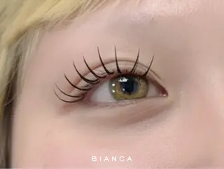 マツエク・マツパ Bianca神楽坂 ꙳⋆ aoha🤍のマツエク・マツパデザイン