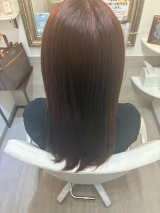 セミロング カラー ✨透明感カラー✨ ☘️くすみカラー☘️のヘアスタイル