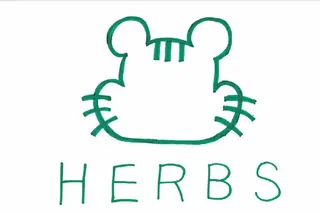 エンダモロジー専門店 HERBSとやま店長のエステ・リラクイメージ