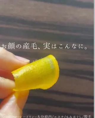 シードリン 府内店 小波のヘアスタイル
