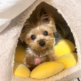 マツエク・マツパ U eのネイルデザイン