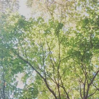 pipi ..のネイルデザイン