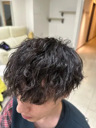 パーマ メンズ 長谷川 誠志のヘアスタイル