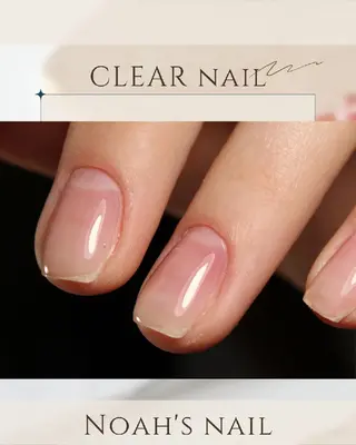 ネイル Noah'snail のネイルデザイン