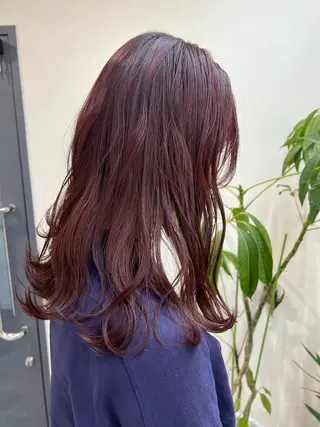 セミロング カラー メンズ レイヤー ウルフ 弓木啓輔のヘアスタイル