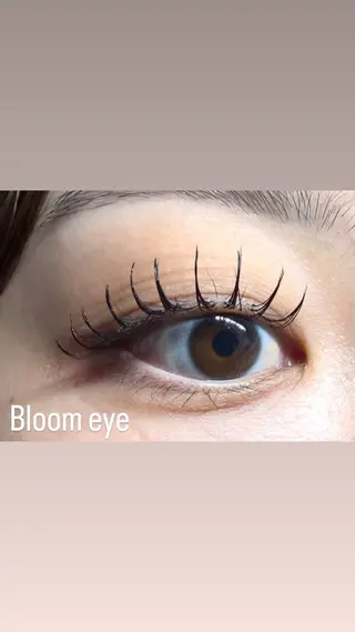 マツエク・マツパ Bloom eye 豊中 北緑丘の眉毛・アイブロウイメージ