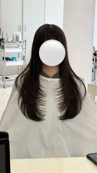 ロング 韓国風レイヤー 日向 GINZAのヘアスタイル