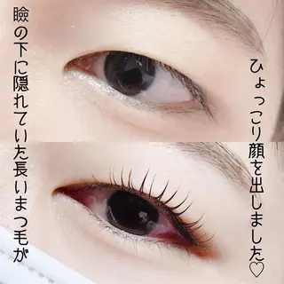 マツエク・マツパ eyelash catwinkのマツエク・マツパデザイン