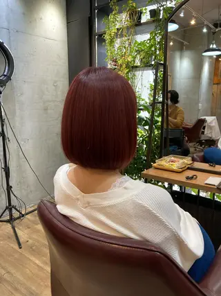 ショート カラー 縮毛矯正/髪質改善 /SATOKOのヘアスタイル