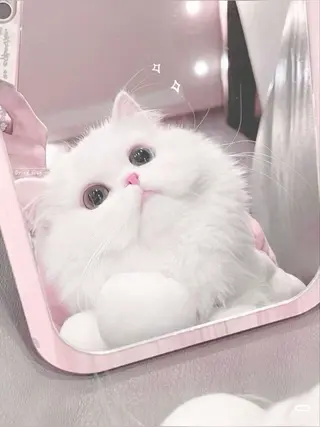 マツエク・マツパ 🎀eyelist. mizuki🐈⬛のマツエク・マツパデザイン