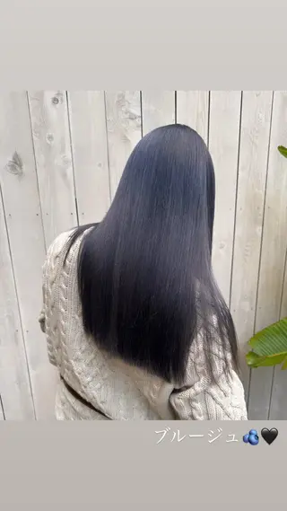 ロング カラー ハイライト/インナー /ブリーチ/レイヤーのヘアスタイル