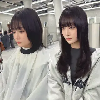 モリシタ チョウのヘアスタイル