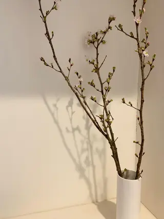 ネイル Lilibeauty salonのネイルデザイン