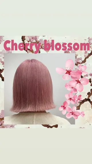 ショート カラー カットモデル募集中 ‼️Raiのヘアスタイル