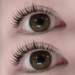 マツエク・マツパ Daisy Lash 今吉🍒🖤のマツエク・マツパデザイン